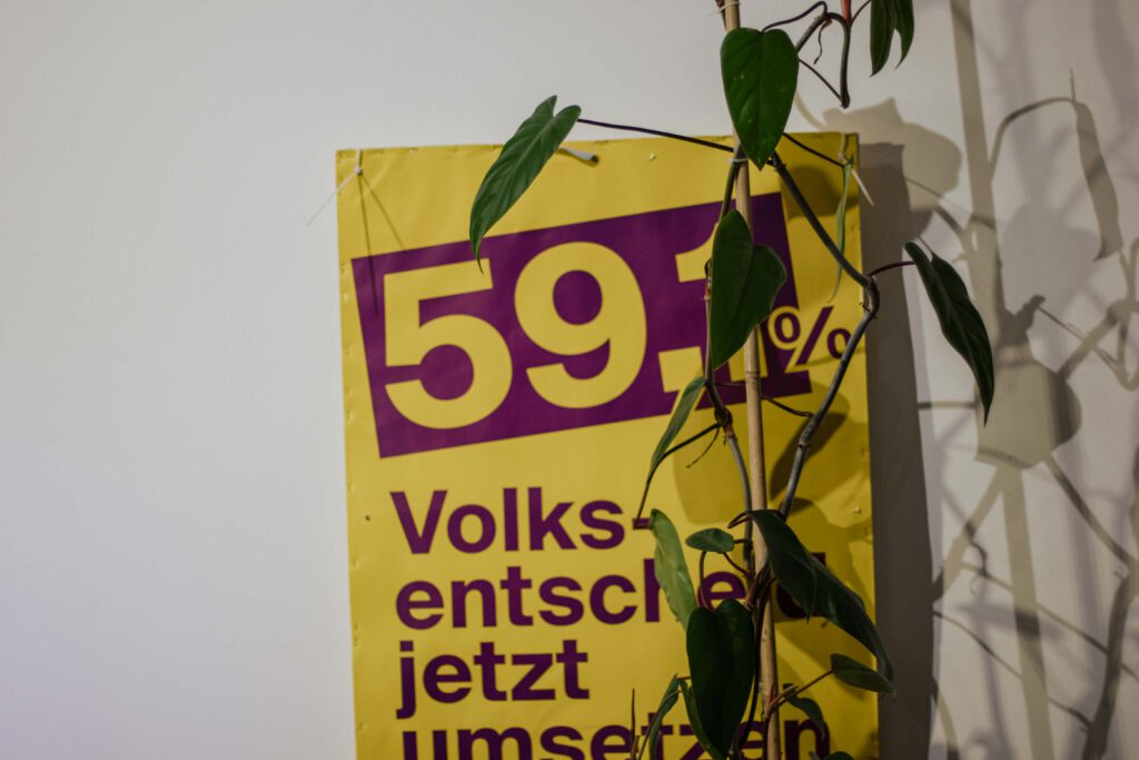 DWE-Poster für den Volksentscheid und die aktuelle Kampagne. 