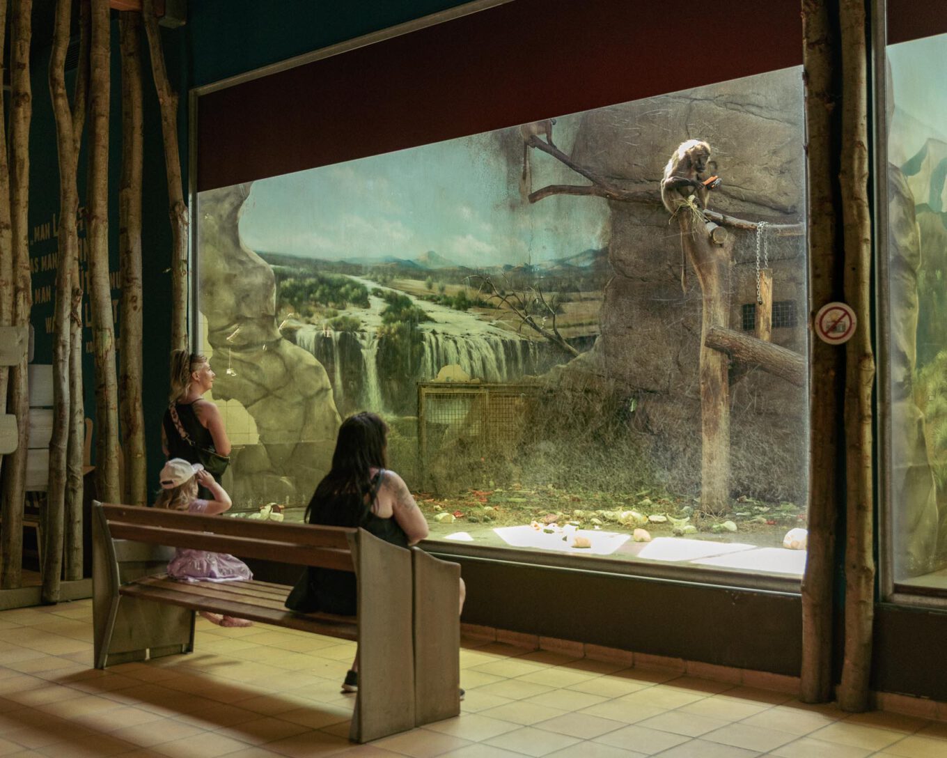 Personen schauen durch eine Scheibe im Zoo auf ein Tier auf einem Stamm.